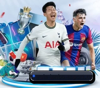 五个功能入口,赛程查询路径更短